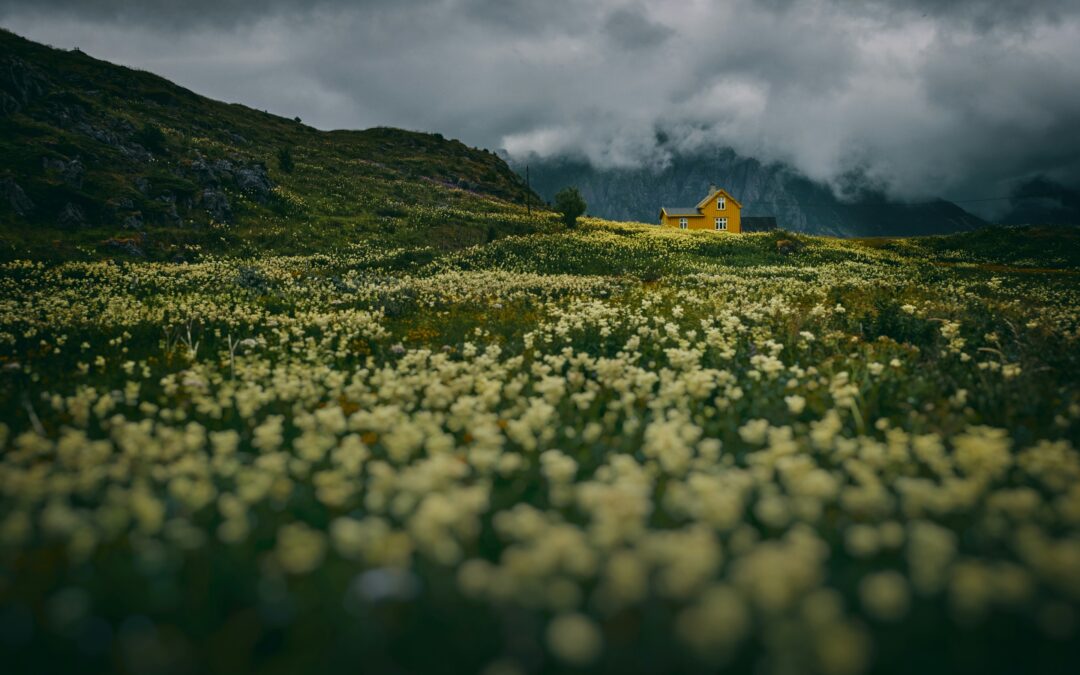 Drowning in Content but Starving for Connection